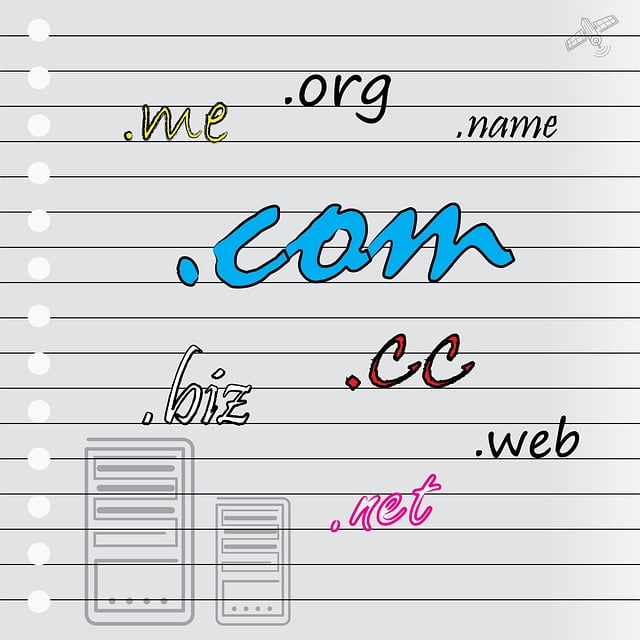 domain registration